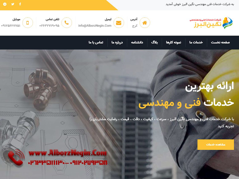 Negin Alborz website
